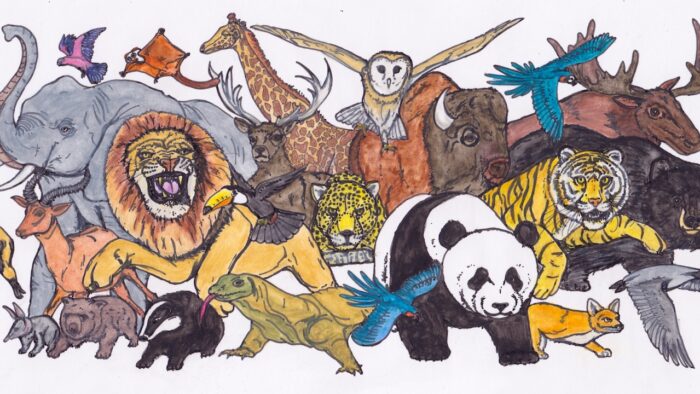 Dürenang (vom ne Tier)